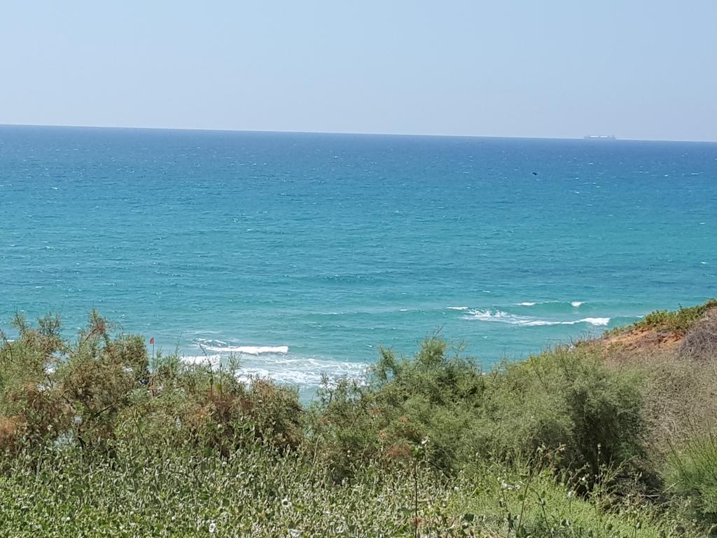 Netanya Motel Pierre Bagian luar foto